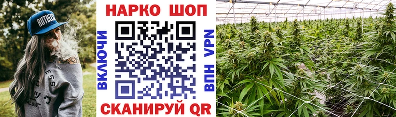 Продажа наркотиков Новосокольники Бошки Шишки  А ПВП  Cocaine  ГАШ  Меф 