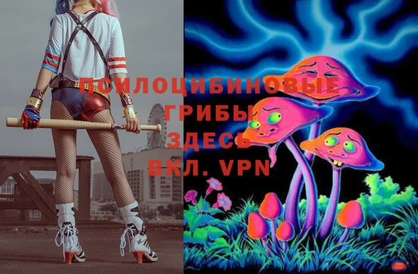 гидропоника Бугульма
