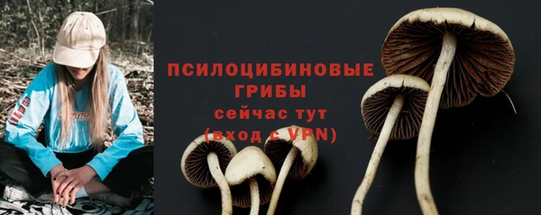 герыч Бронницы