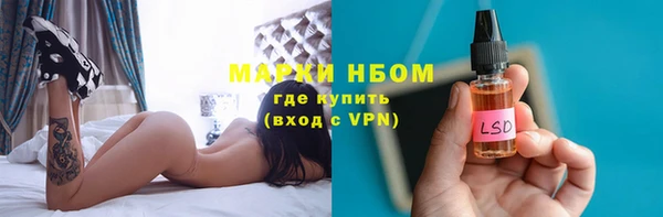 стафф Протвино