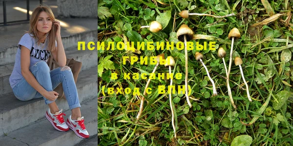 кокс Бородино