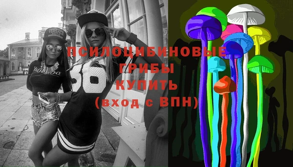 гидропоника Бугульма