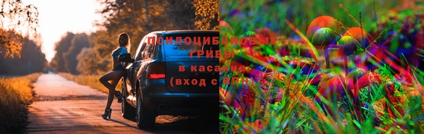 кокс Бородино
